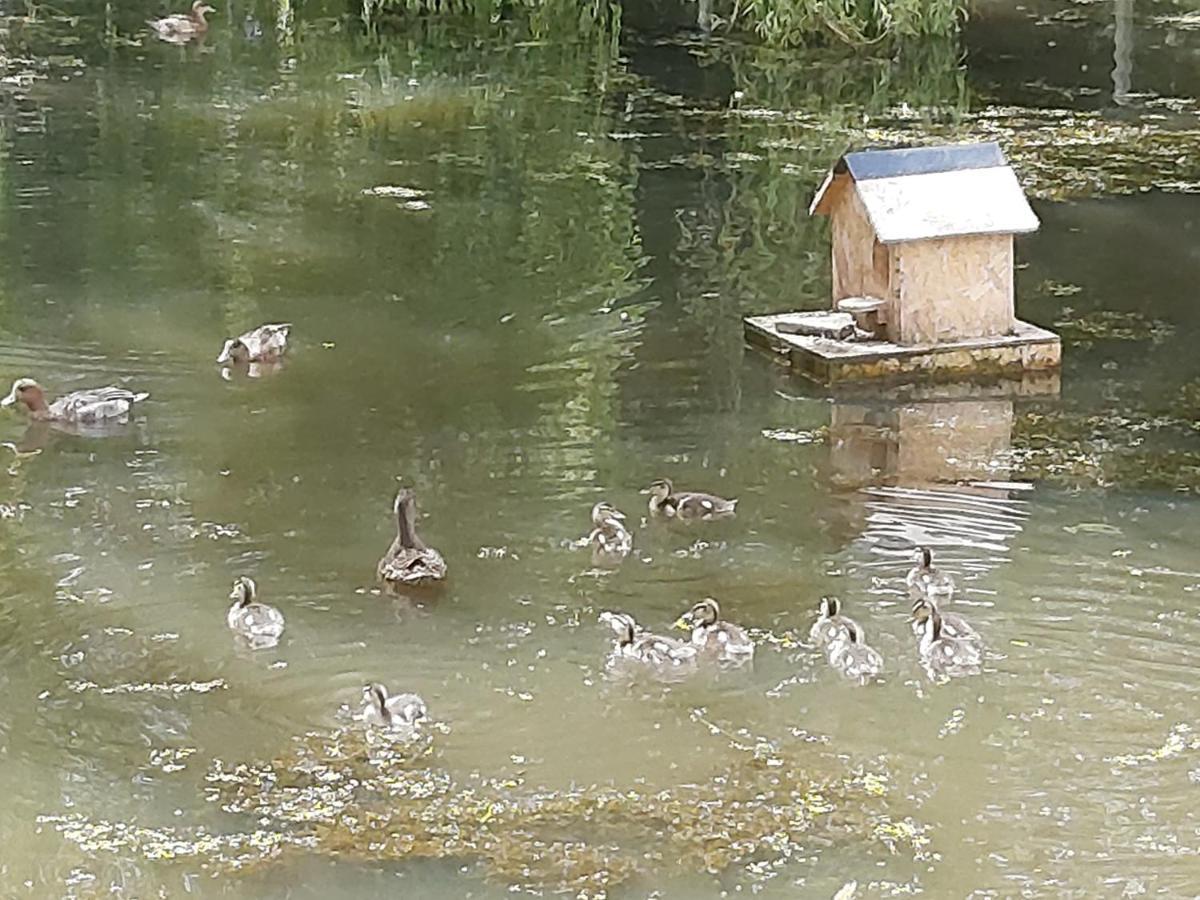 Le Bonheur Des Plumes Frühstückspension *